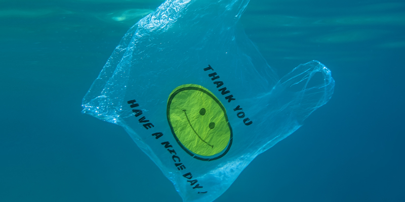 Plastic bag in the water